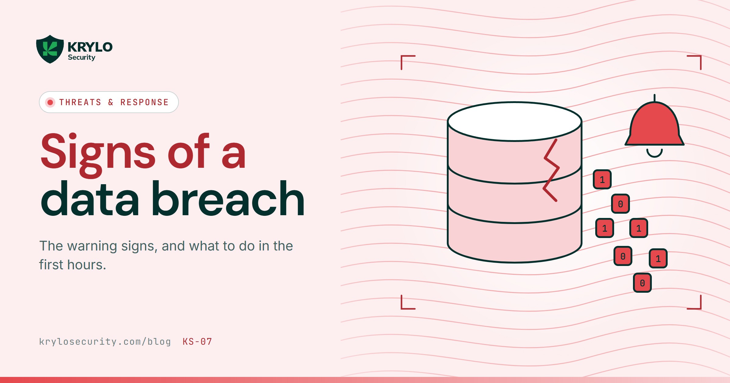 How to Know You Have Had a Data Breach: Every Business’s Nightmare